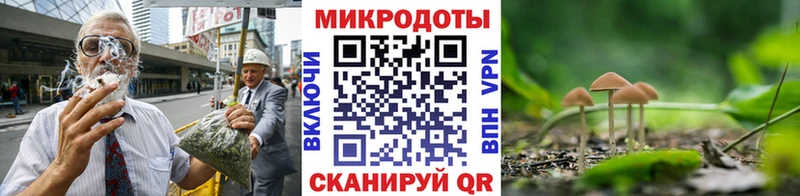 Галлюциногенные грибы прущие грибы как найти закладки omg маркетплейс Куйбышев